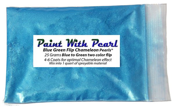 blue green chameleon bag