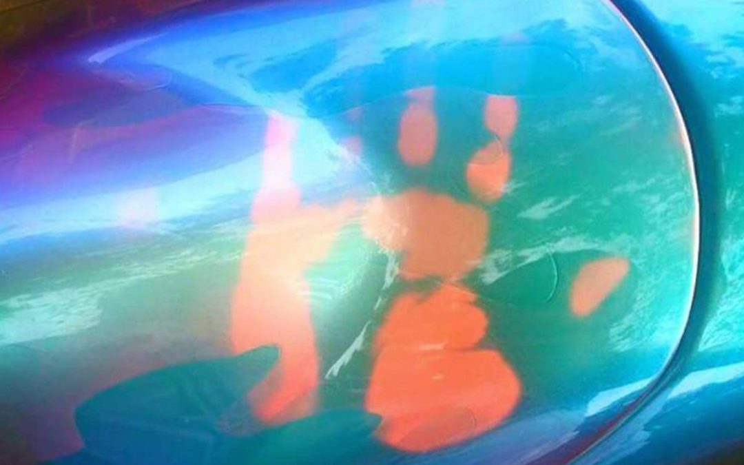 John Haro's handprint on his thermochromic pigment painted motorcycle tank. Temperature changing chameleon!.